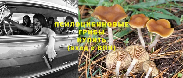 соль ск Аркадак