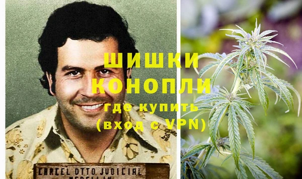 крисы Баксан